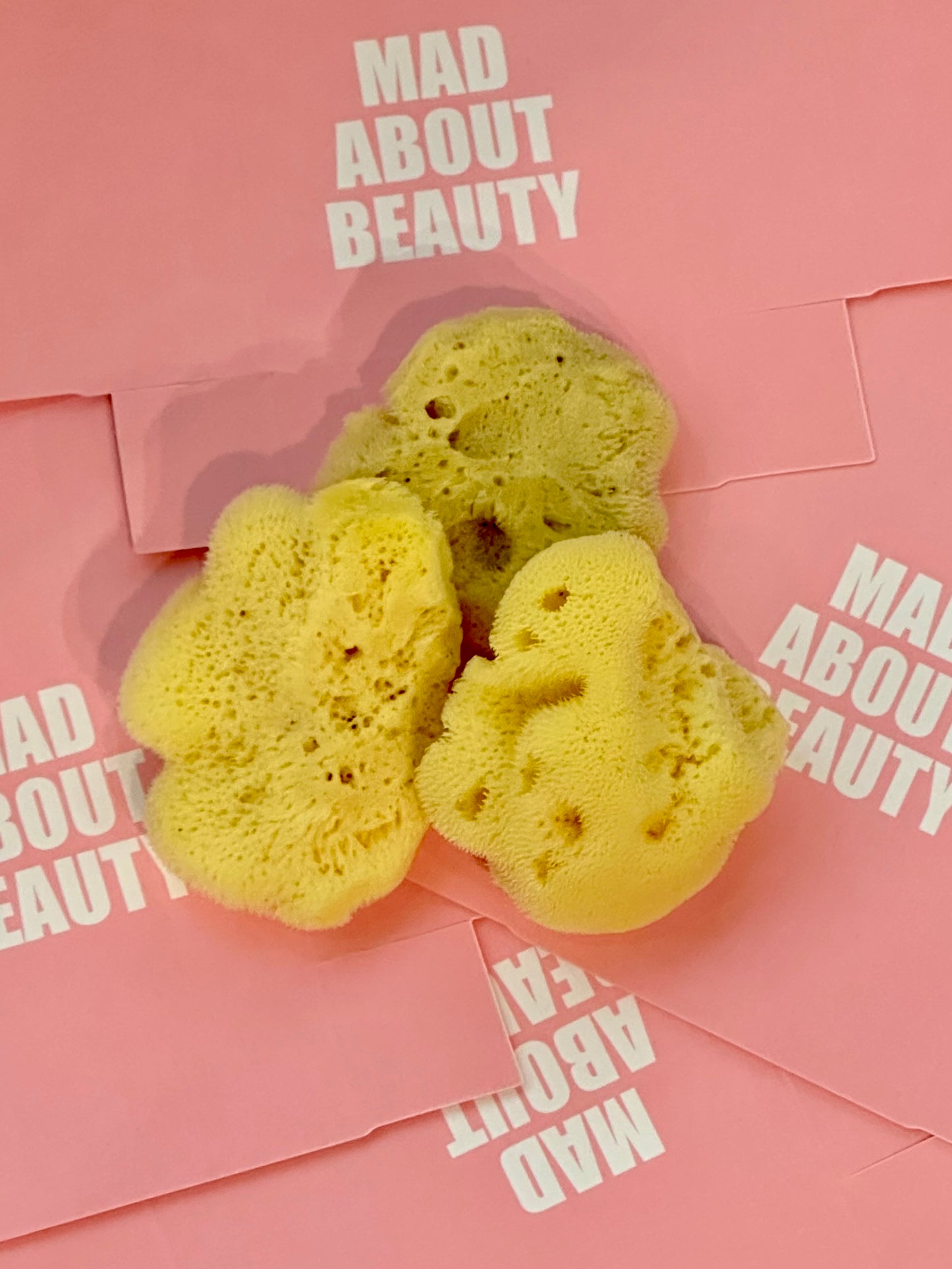 Natural Sponge 地中海天然絲海綿