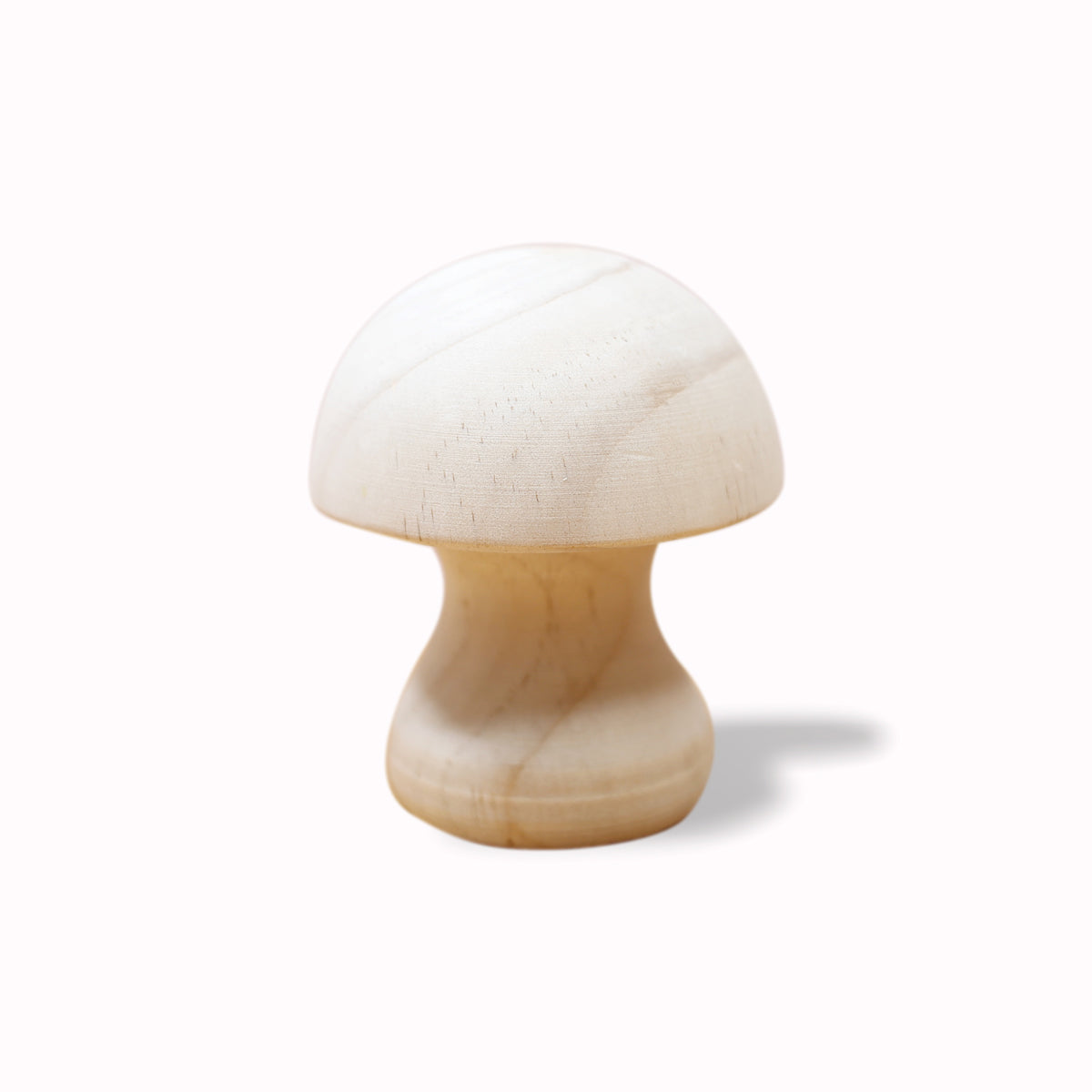 Wooden mushroom 松木菇