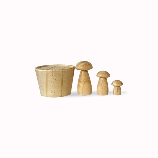 Wooden mushroom Set 松木菇盆栽