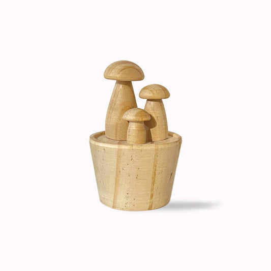 Wooden mushroom Set 松木菇盆栽
