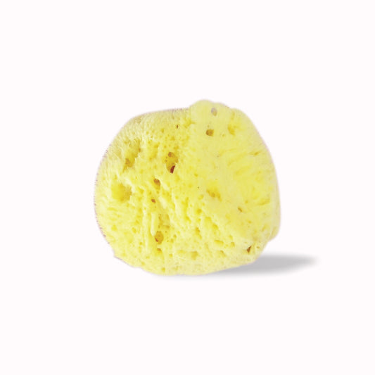 Natural Sponge 地中海天然絲海綿